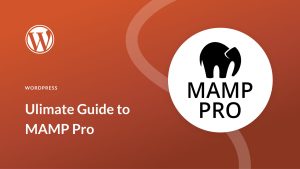 MAMP Pro 6.8.1 Crack + Serial Key Free Download {2023}